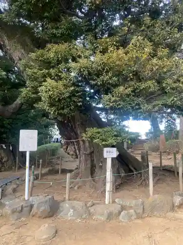 九重神社(埼玉県)