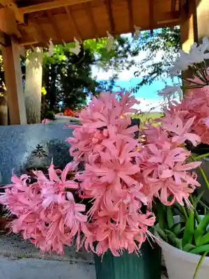 高司神社〜むすびの神の鎮まる社〜(福島県)