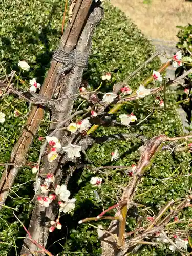 大恩寺(京都府)