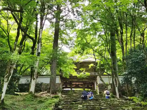 高源寺の山門