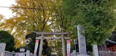 葛西神社の鳥居