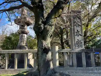 大谷本廟の自然