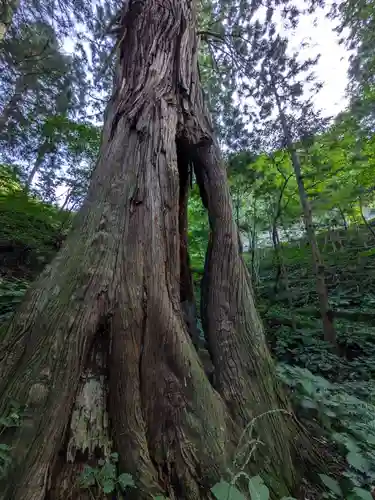 迦葉山龍華院弥勒護国寺（弥勒寺）(群馬県)