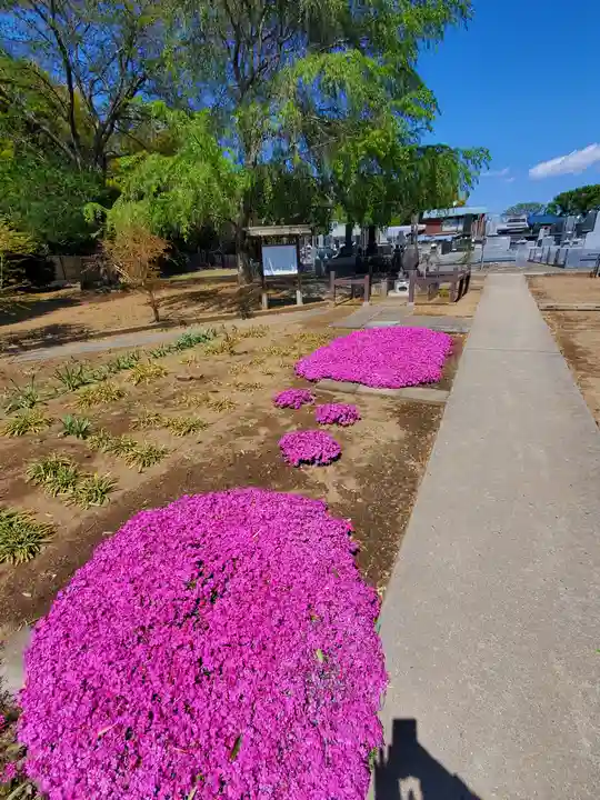 満福寺(栃木県)