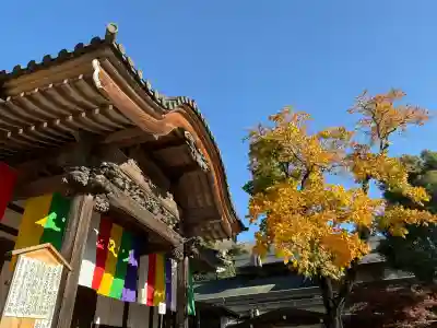 深大寺の{uncategorized: "未分類", other: "その他", undefined: "問題あり", building: "その他建物", grave: "お墓", sacred_gate: "鳥居", guardian: "狛犬", statue: "像", buddha: "仏像", history: "歴史", nature: "自然", garden: "庭園", animal: "動物", pagoda: "塔", temizu: "手水舎", mountain_gate: "山門・神門", sanctuary: "本殿・本堂", subordinate: "末社・摂社", art: "芸術", scenery: "景色", jizo: "地蔵", ema: "絵馬", goshuin: "御朱印", omikuji: "おみくじ", items: "授与品その他", amulet: "お守り", goshuincho: "御朱印帳", eats: "食事", festival: "お祭り", votive_dance: "神楽", shichigosan: "七五三参", wedding: "結婚式", experience: "体験その他", initially: "初詣", around: "周辺", anti_infection: "感染症対策"}