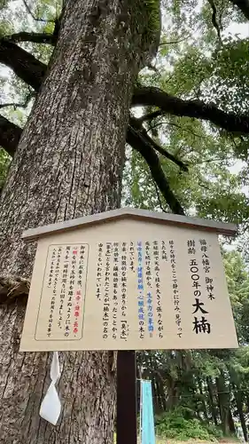 福母八幡宮(佐賀県)
