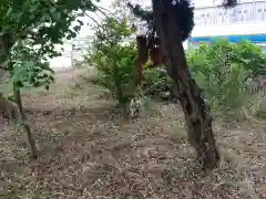 鹿島神社の自然