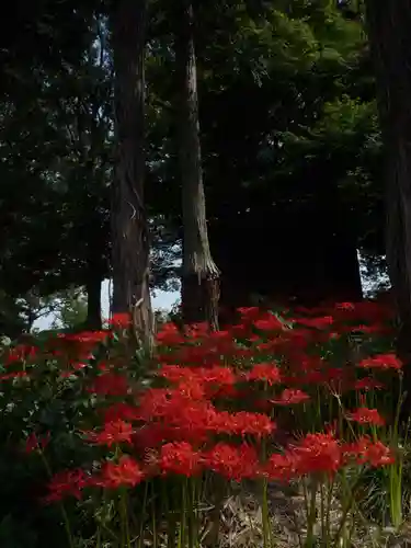 駒形神社の自然