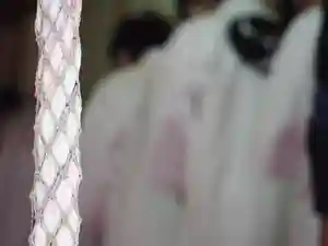 川田八幡神社の景色(2020年10月30日(金) 18時47分33秒投稿)