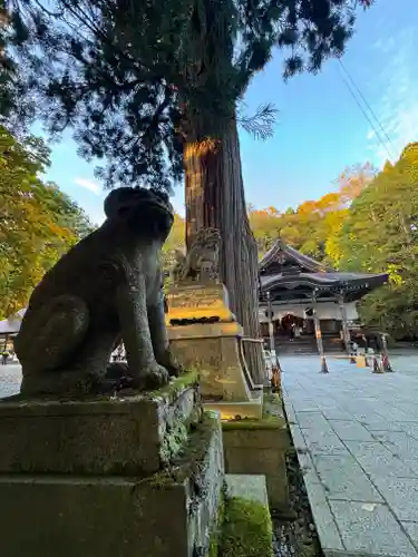 戸隠神社中社(長野県)