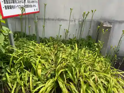 間々観音（龍音寺）(愛知県)