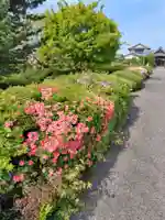 永徳寺(群馬県)