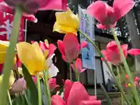 大宮温泉神社(栃木県)