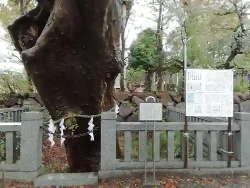 青渭神社(東京都)