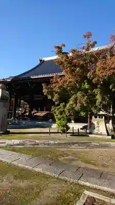 妙顯寺(妙顕寺)の本殿・本堂