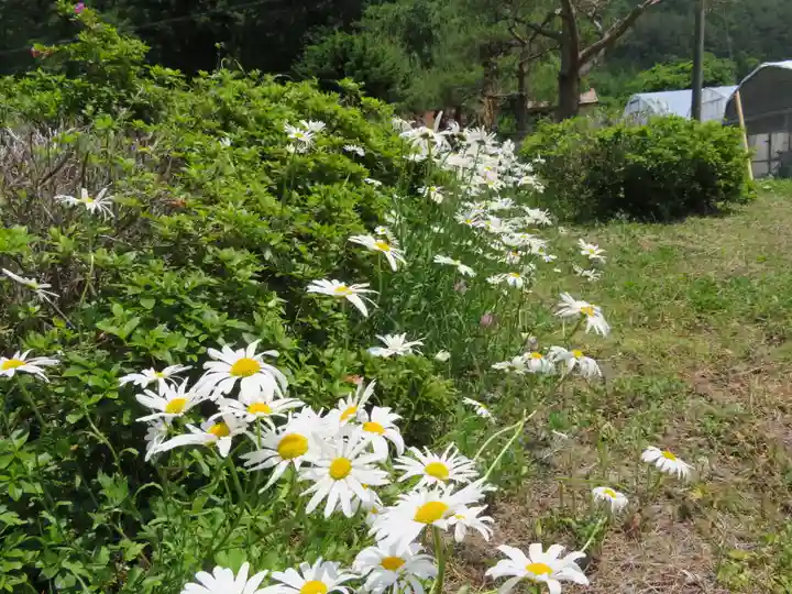 旗挙八幡宮の自然