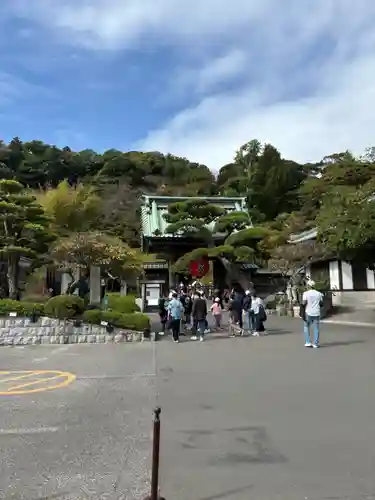 長谷寺(神奈川県)