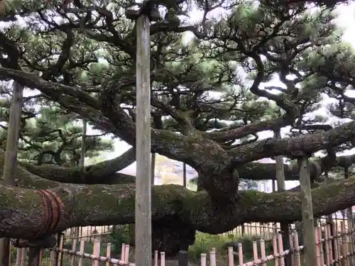 永安寺の庭園