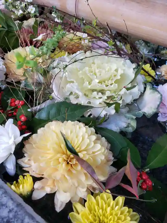 高円寺氷川神社の手水舎