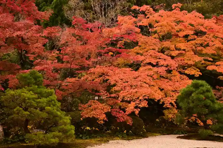 天授庵(京都府)