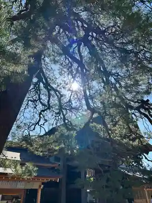 竹駒神社(宮城県)