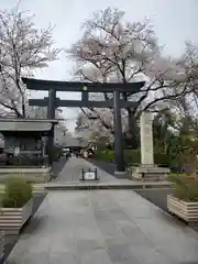 松陰神社の鳥居