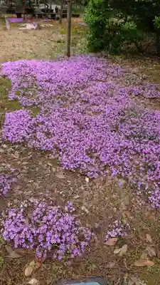 湊稲荷神社の庭園