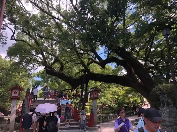 太宰府天満宮の自然