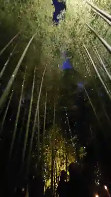 高台寺（高台寿聖禅寺・高臺寺）(京都府)