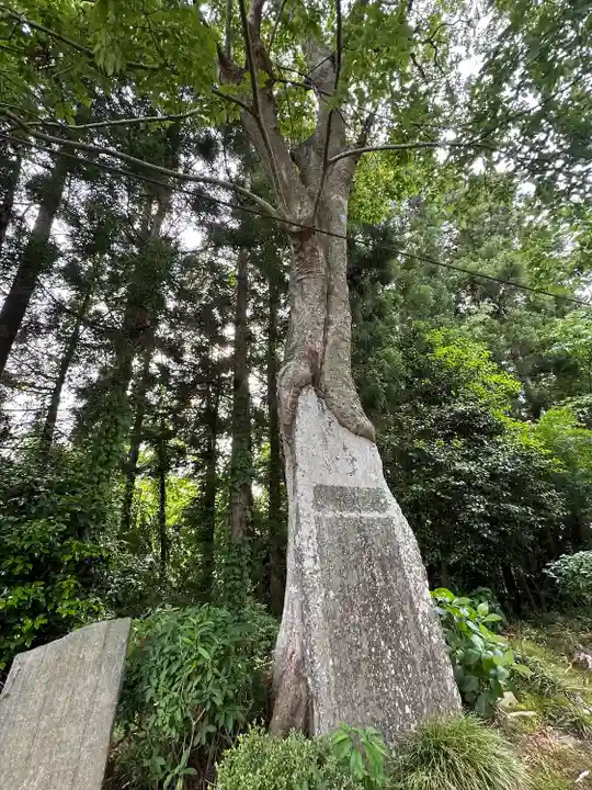 羽生天神社(宮城県)