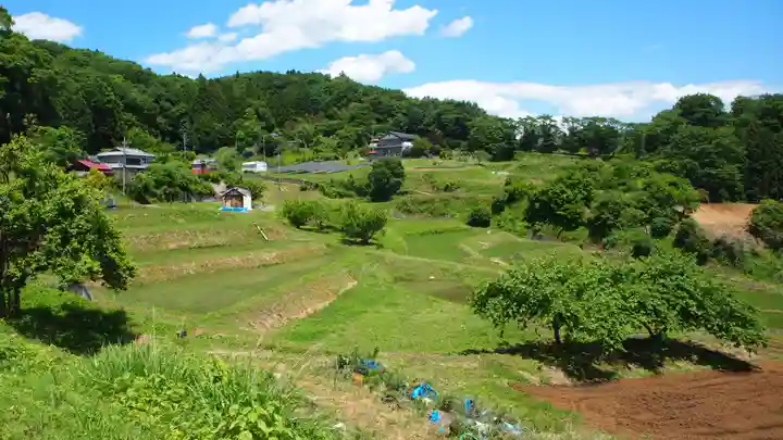 大杉神社(栃木県)