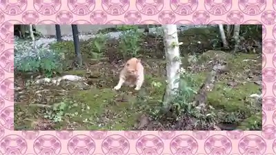 小松寺(千葉県)