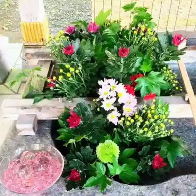 彌彦神社　(伊夜日子神社)の手水舎