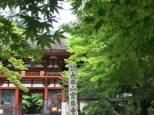 室生寺の山門・神門