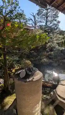 金臺寺（金台寺）(京都府)