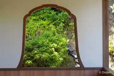 二尊院(京都府)