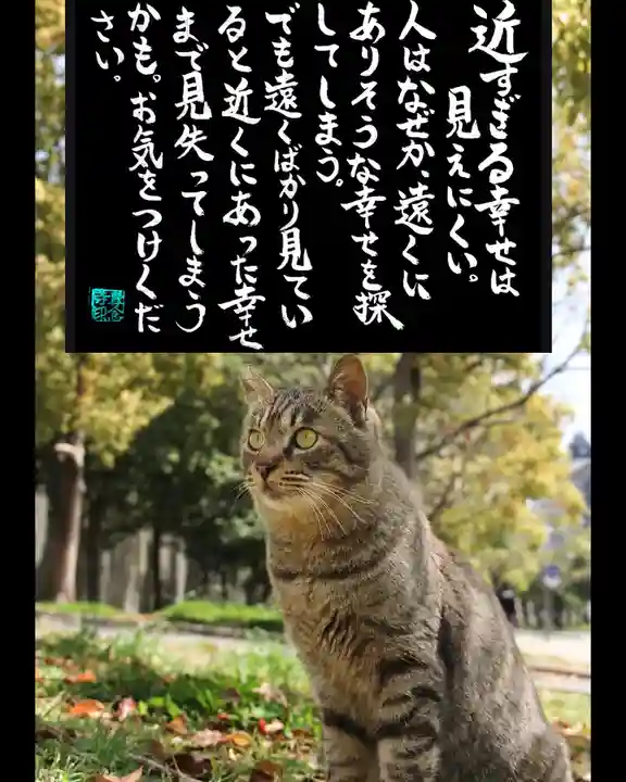 専念寺(大阪府)