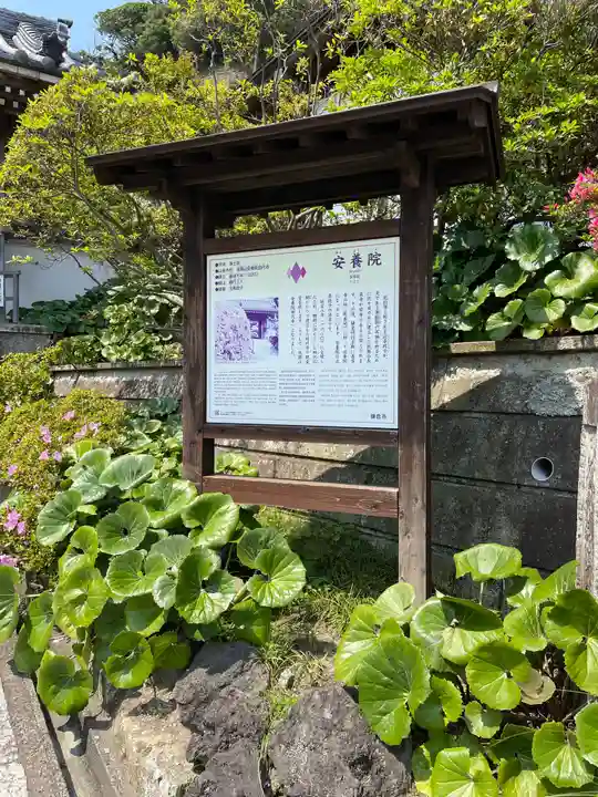 安養院 (田代寺)の歴史