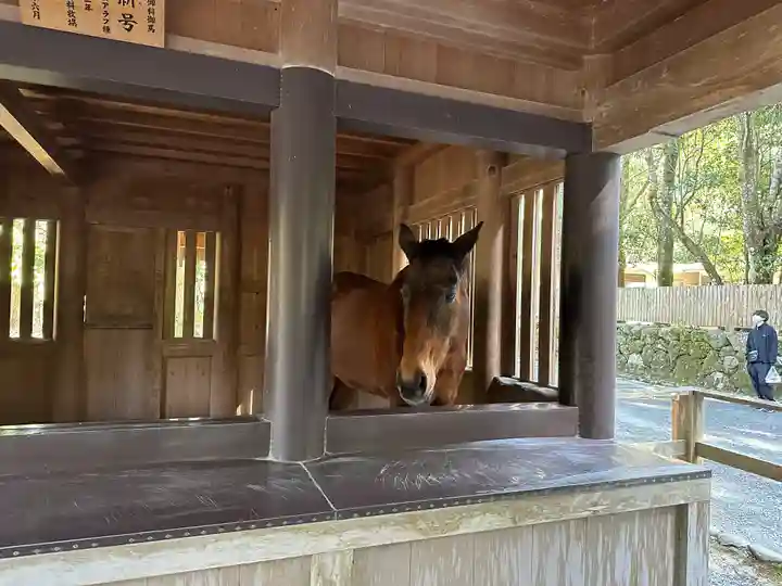 伊勢神宮内宮(皇大神宮)(三重県)