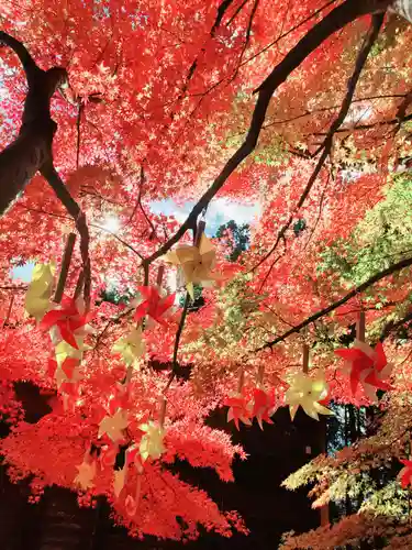 滑川神社 - 仕事と子どもの守り神の自然