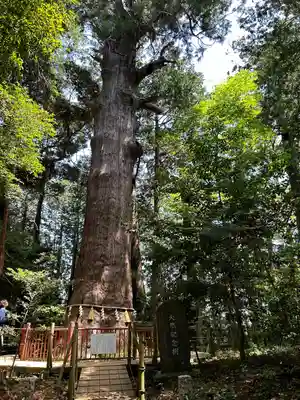 麻賀多神社(千葉県)