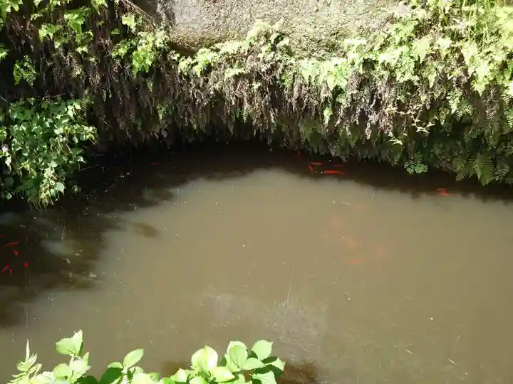 銭洗弁財天宇賀福神社(神奈川県)