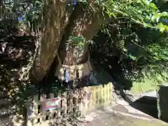 槵觸神社の自然