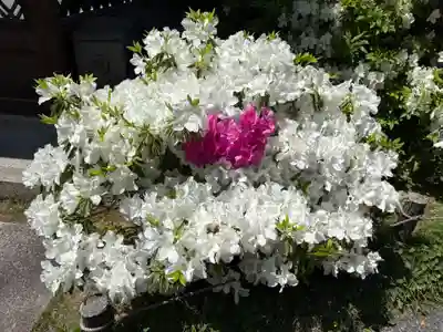 城南宮(京都府)