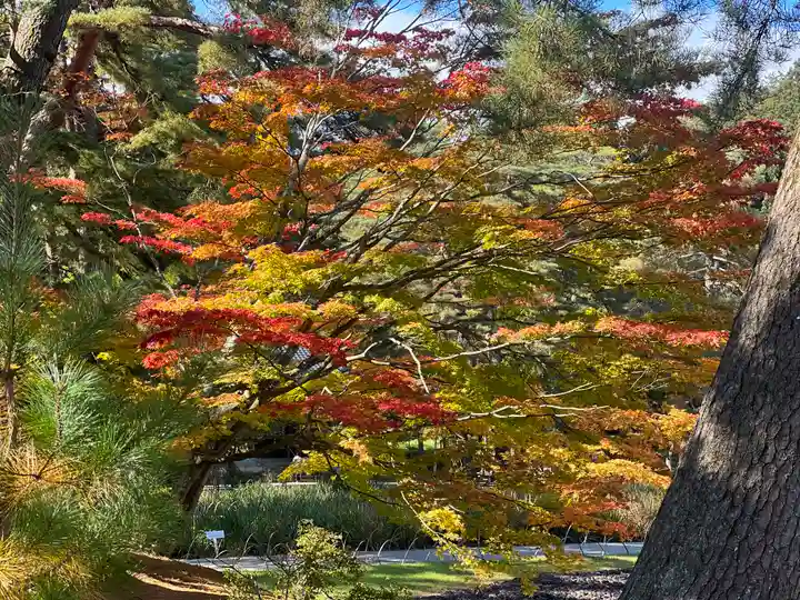 毛越寺(岩手県)