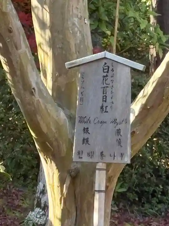 天龍寺(京都府)