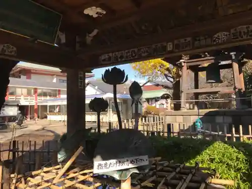 新井薬師（梅照院）(東京都)