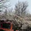 花園神社の{uncategorized: "未分類", other: "その他", undefined: "問題あり", building: "その他建物", grave: "お墓", sacred_gate: "鳥居", guardian: "狛犬", statue: "像", buddha: "仏像", history: "歴史", nature: "自然", garden: "庭園", animal: "動物", pagoda: "塔", temizu: "手水舎", mountain_gate: "山門・神門", sanctuary: "本殿・本堂", subordinate: "末社・摂社", art: "芸術", scenery: "景色", jizo: "地蔵", ema: "絵馬", goshuin: "御朱印", omikuji: "おみくじ", items: "授与品その他", amulet: "お守り", goshuincho: "御朱印帳", eats: "食事", festival: "お祭り", votive_dance: "神楽", shichigosan: "七五三参", wedding: "結婚式", experience: "体験その他", initially: "初詣", around: "周辺", anti_infection: "感染症対策"}