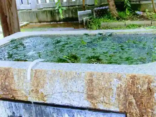 柏神社の手水舎