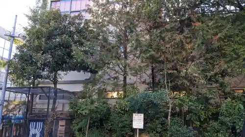 高知大神宮の自然